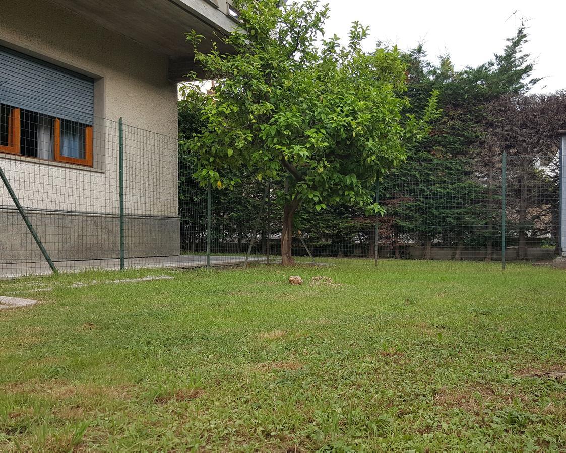 Casa Vacanze Darena Tortoreto Eksteriør bilde
